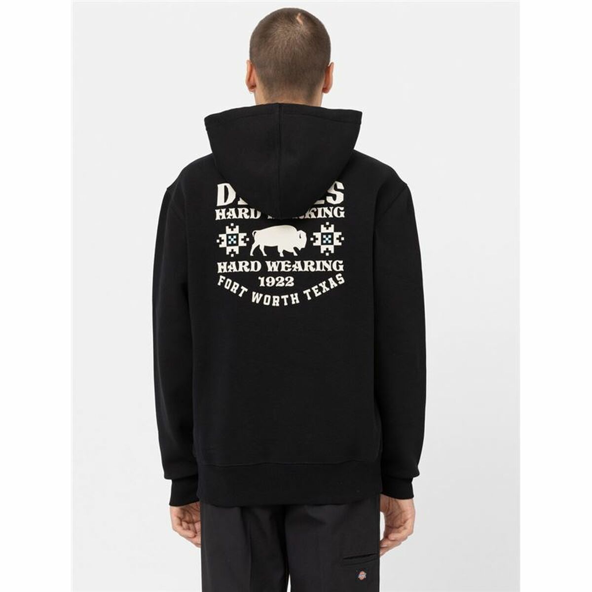 Herenhoodie Dickies Hays Zwart