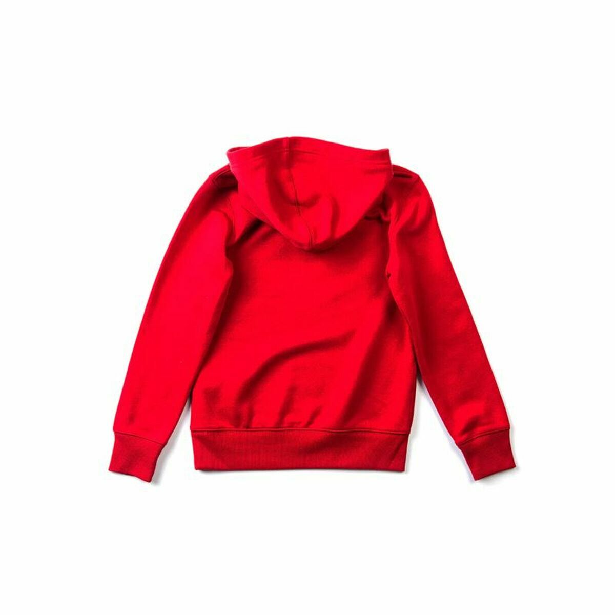 Uniseks Hoodie Converse Ctp
