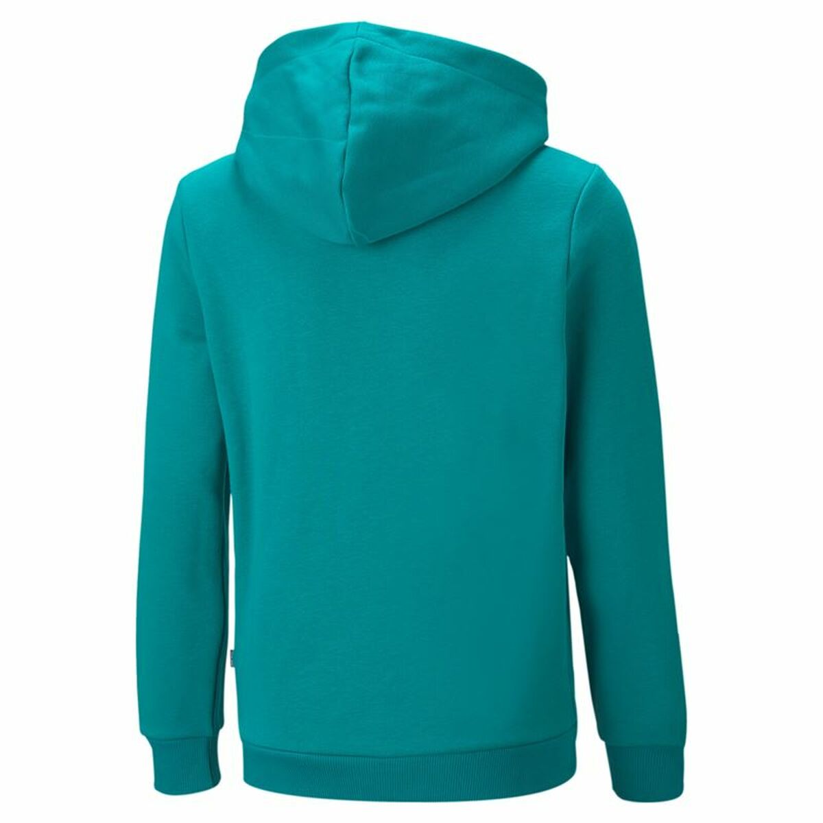 Herenhoodie Puma Essentials+ Two-T Cyaan