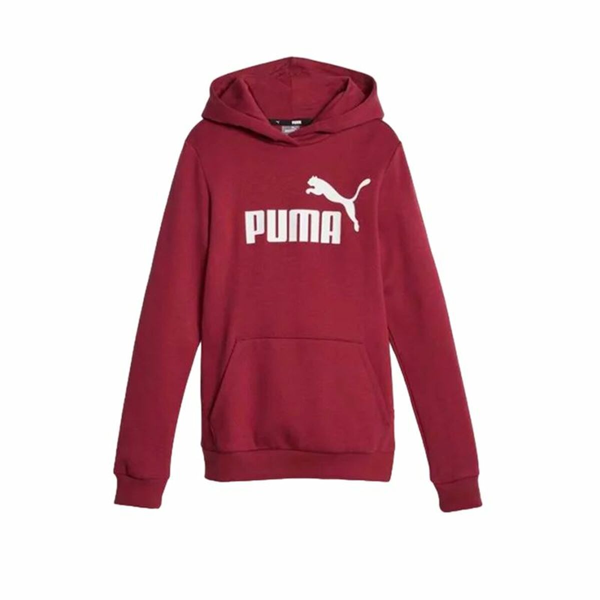 Kindersweater Puma Ess Logo Fl Rood