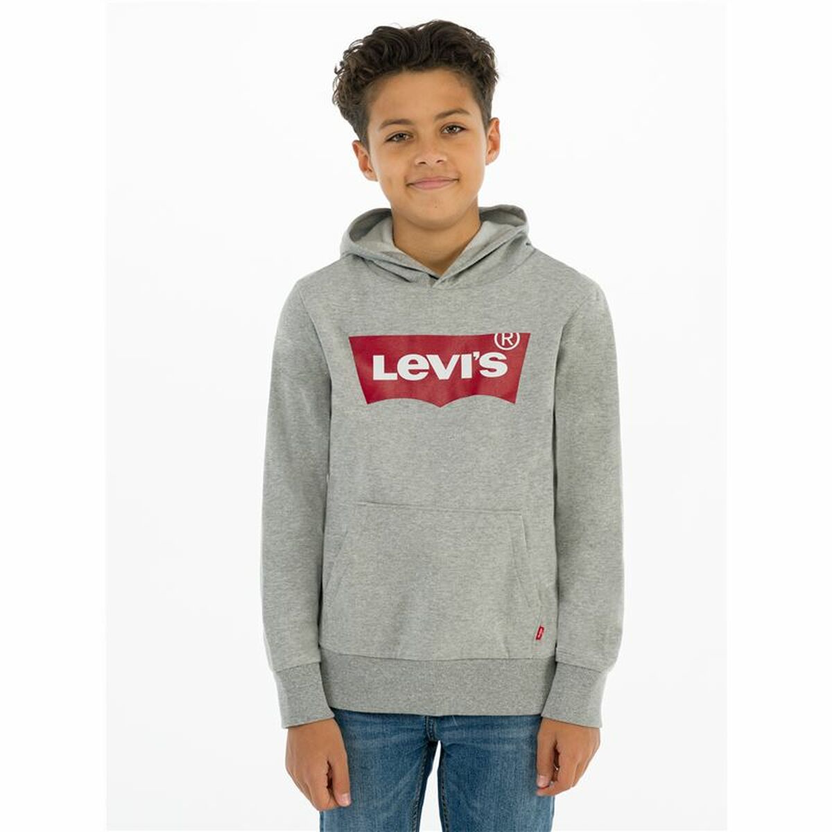 Herensweater zonder Capuchon Levi's Batwing Screenprint Grijs