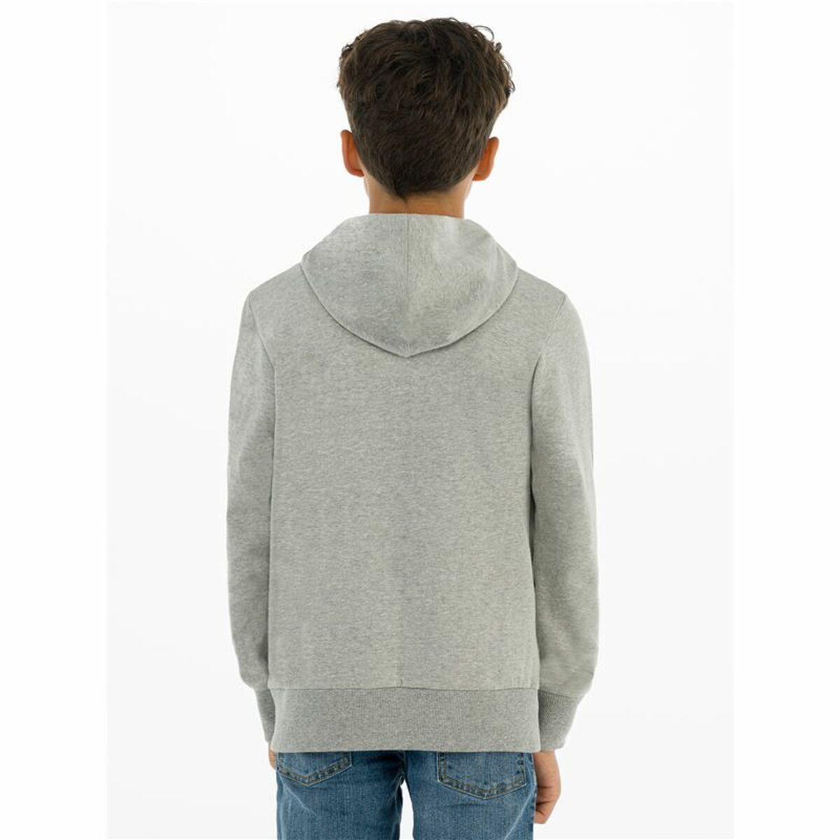 Herensweater zonder Capuchon Levi's Batwing Screenprint Grijs