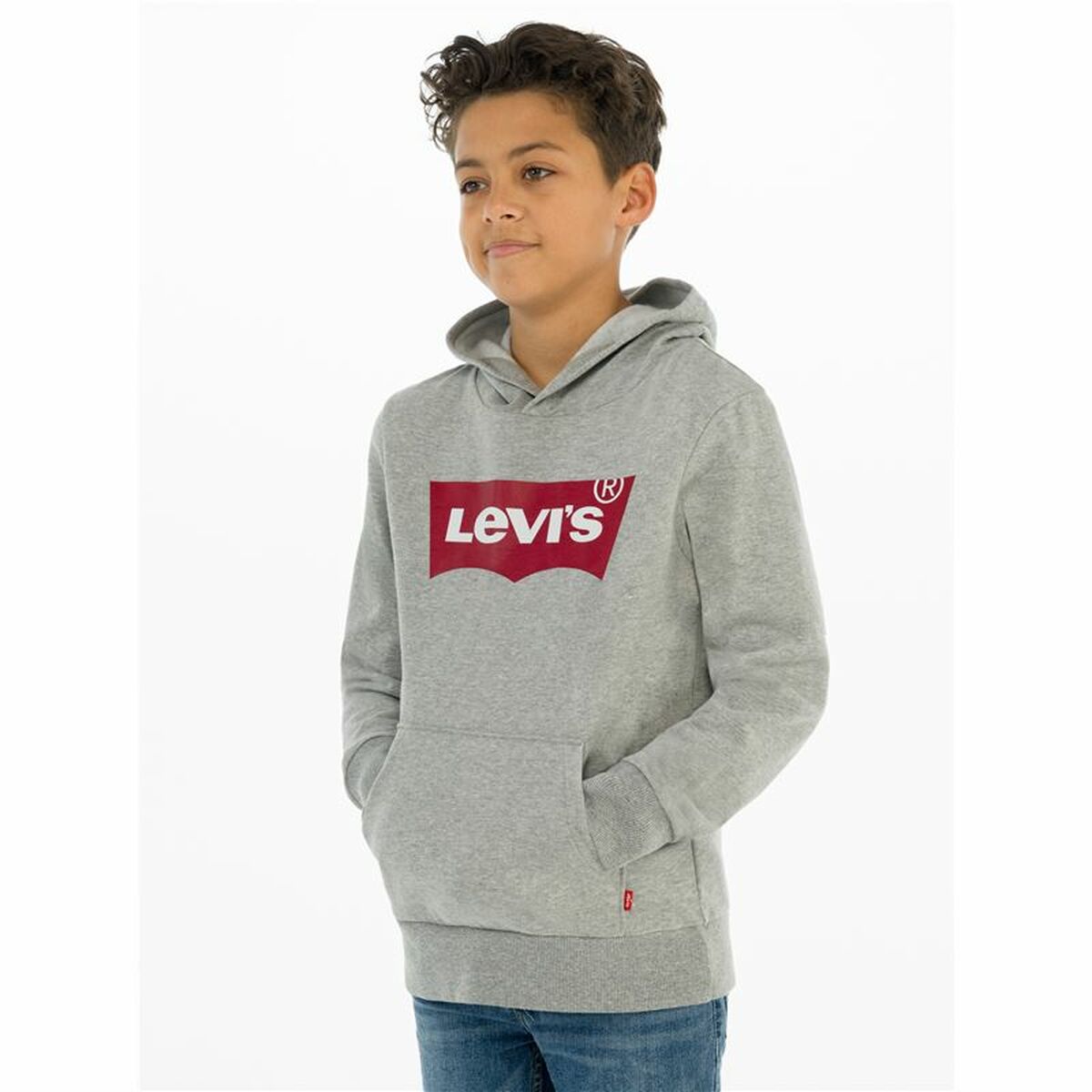 Herensweater zonder Capuchon Levi's Batwing Screenprint Grijs