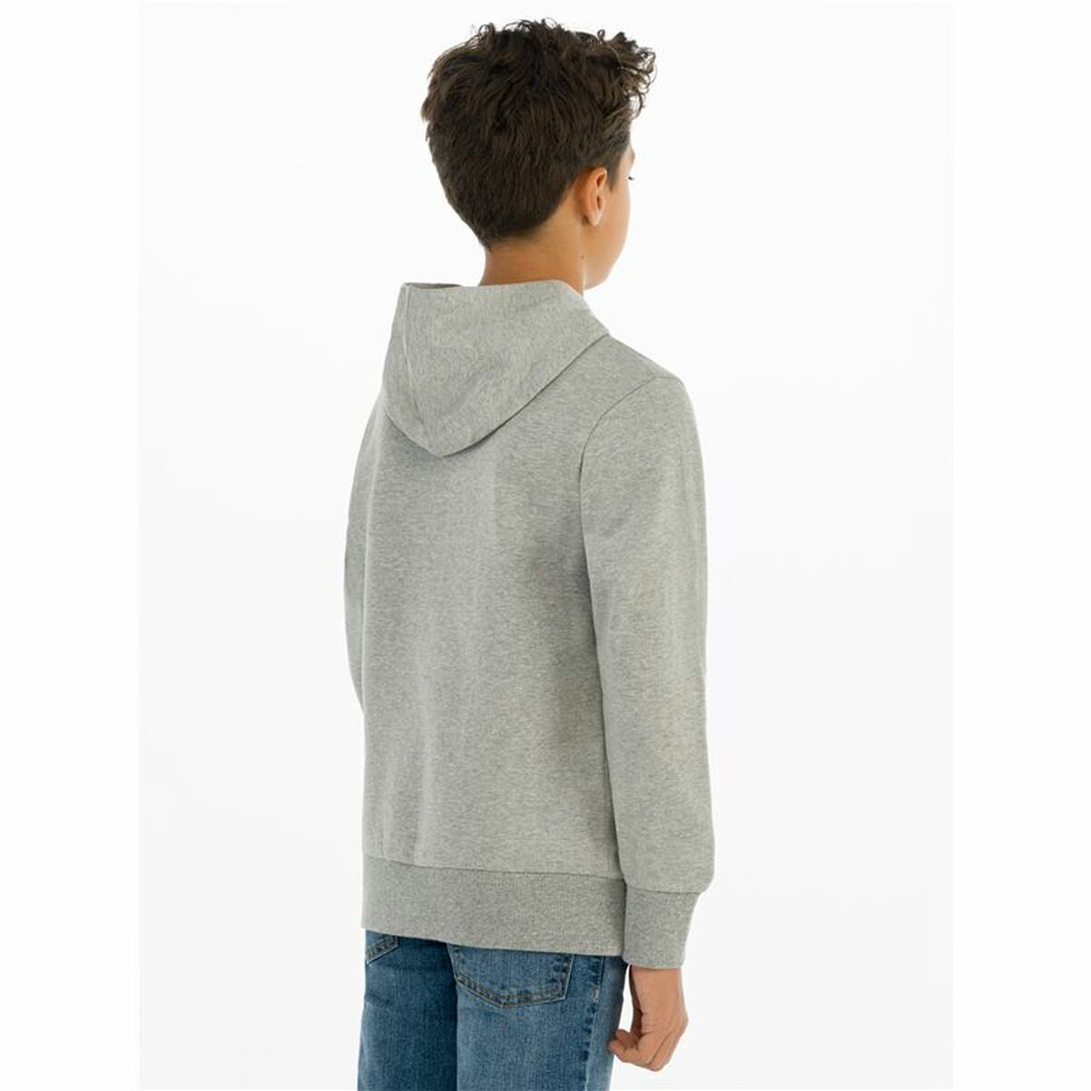 Herensweater zonder Capuchon Levi's Batwing Screenprint Grijs