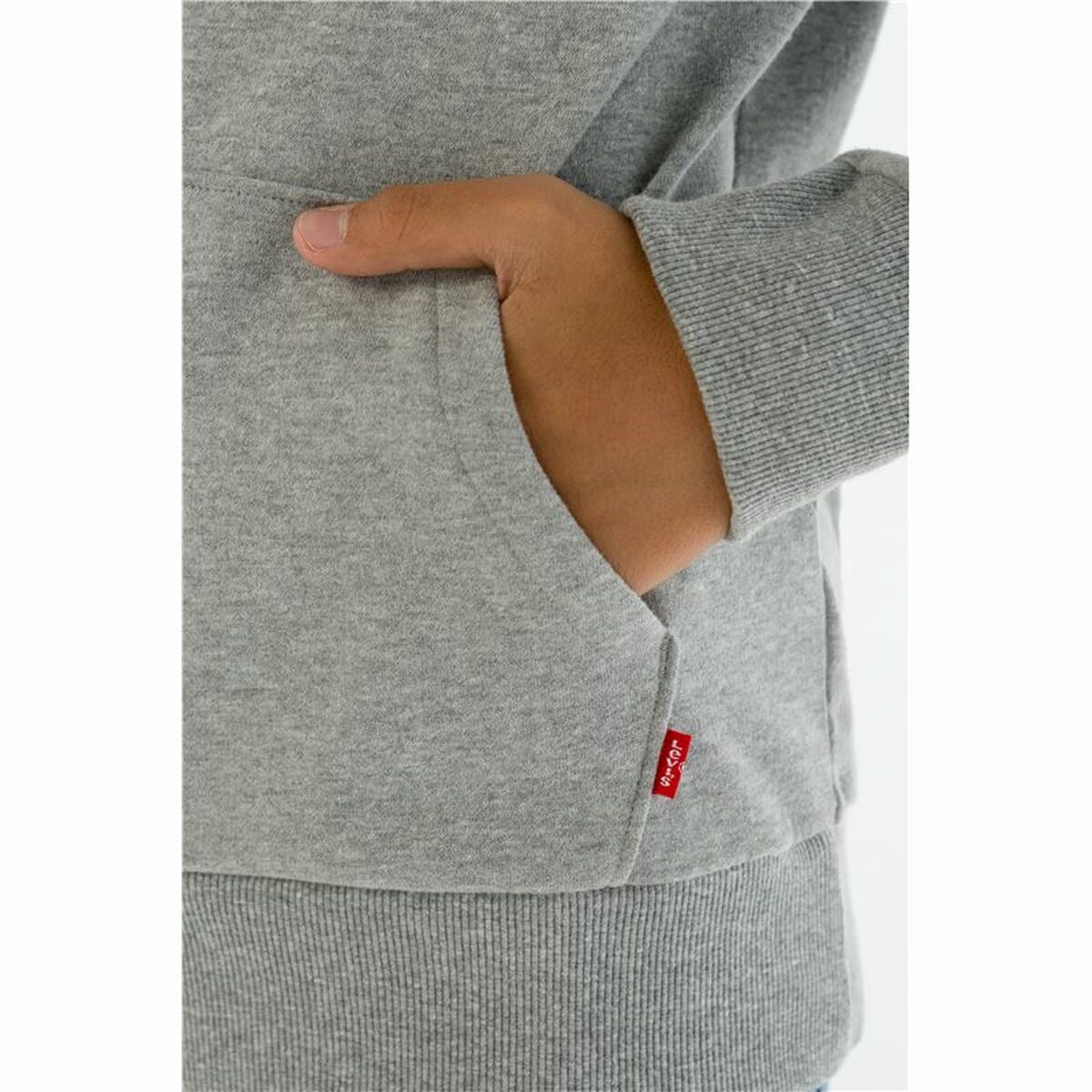 Herensweater zonder Capuchon Levi's Batwing Screenprint Grijs