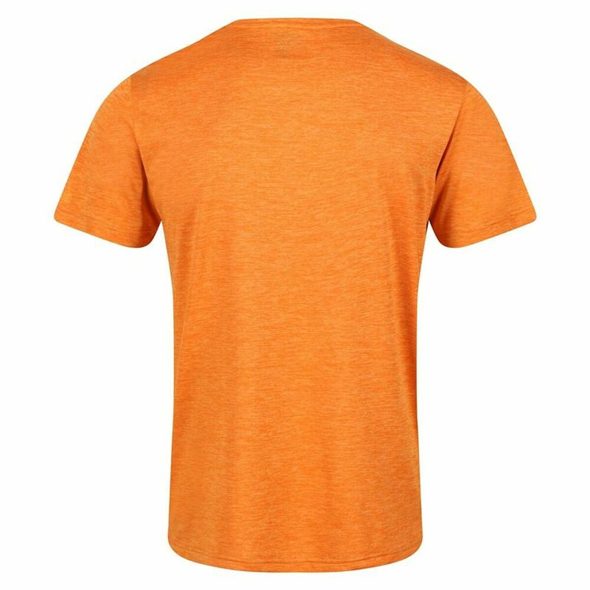 Heren-T-Shirt met Korte Mouwen Regatta  Regatta Fingal Edition Oranje